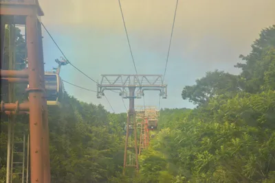 DSC_3677 (Large).JPG